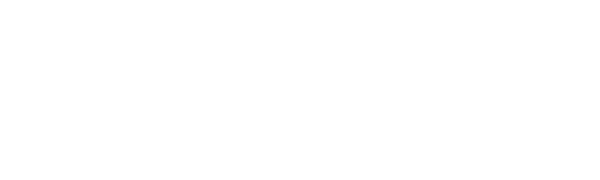 Impavid Holding